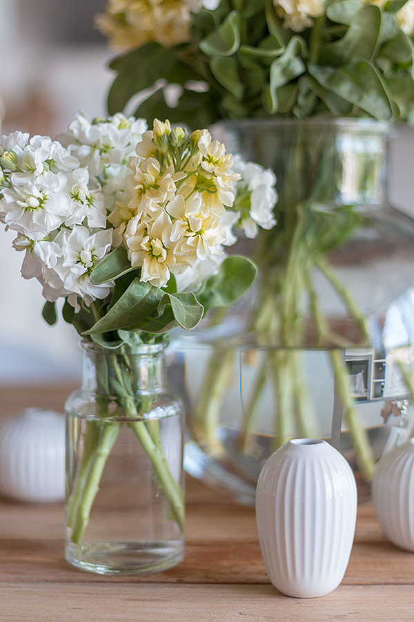 Levkojen in weiß und gelb für die Spargeltischdeko