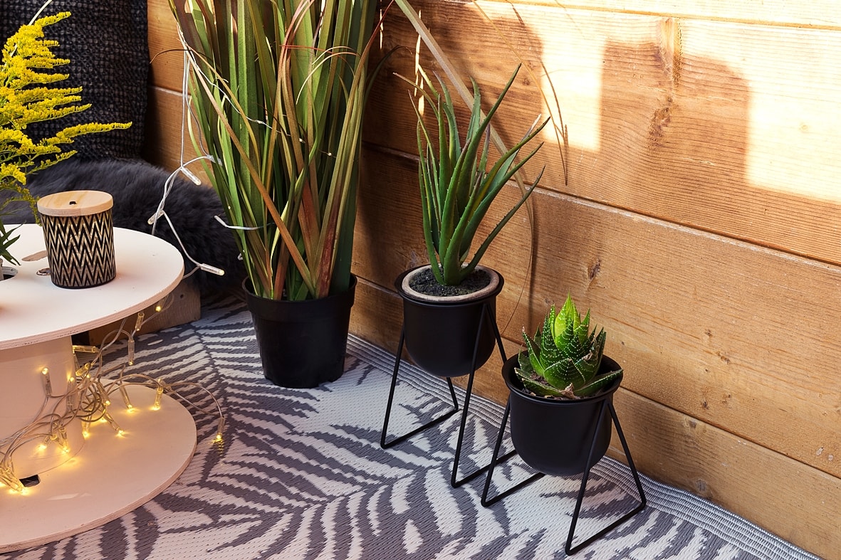 Pflanzendeko für den Balkon
