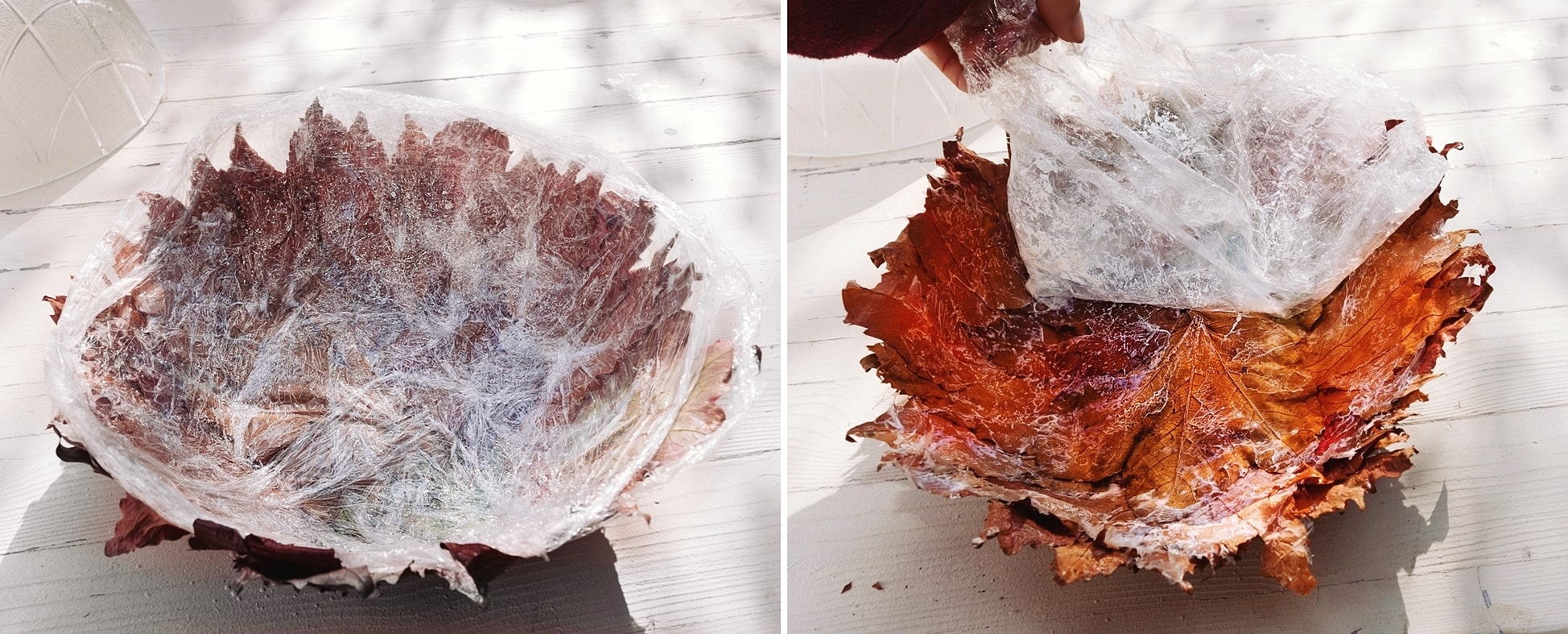 DIY-Anleitung Herbstschale