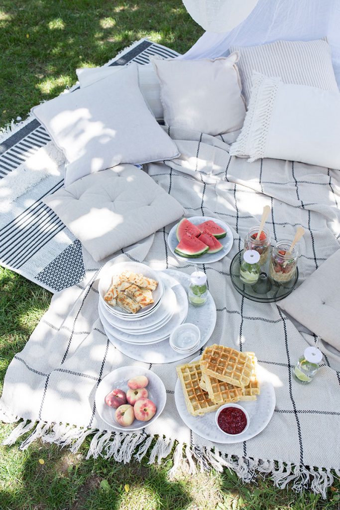 picknick-im-garten-mit-vielen-kissen-und-outdoorteppich