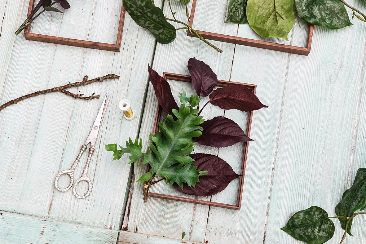 Rahmen mit Pflanzen dekorieren