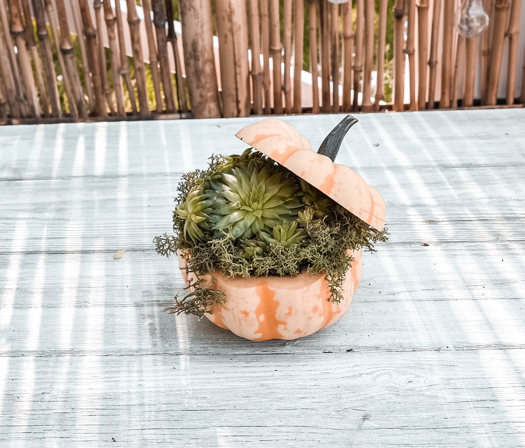 Kürbisvase mit Hut.