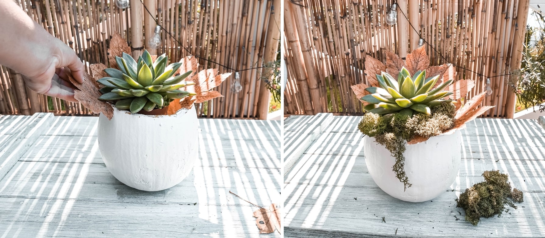 Kürbisvase mit Sukkulenten bepflanzen.