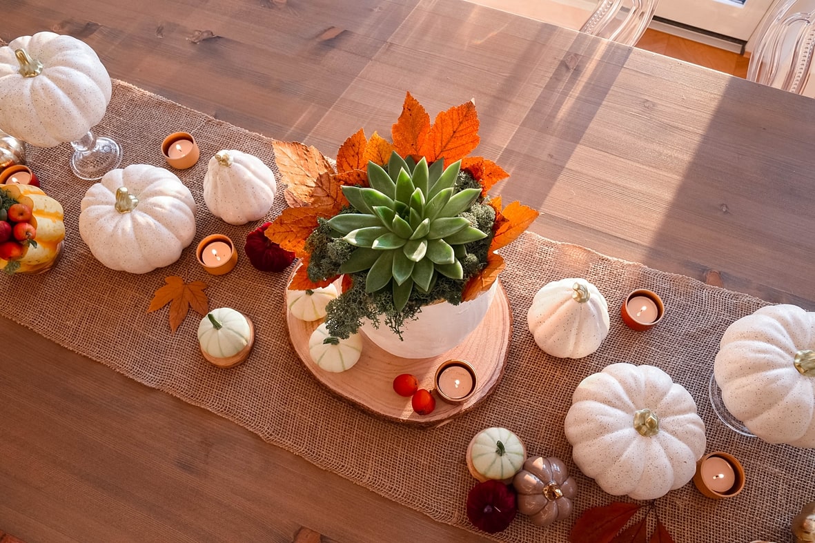 Kürbisvase bepflanzt mit Sukkulenten.