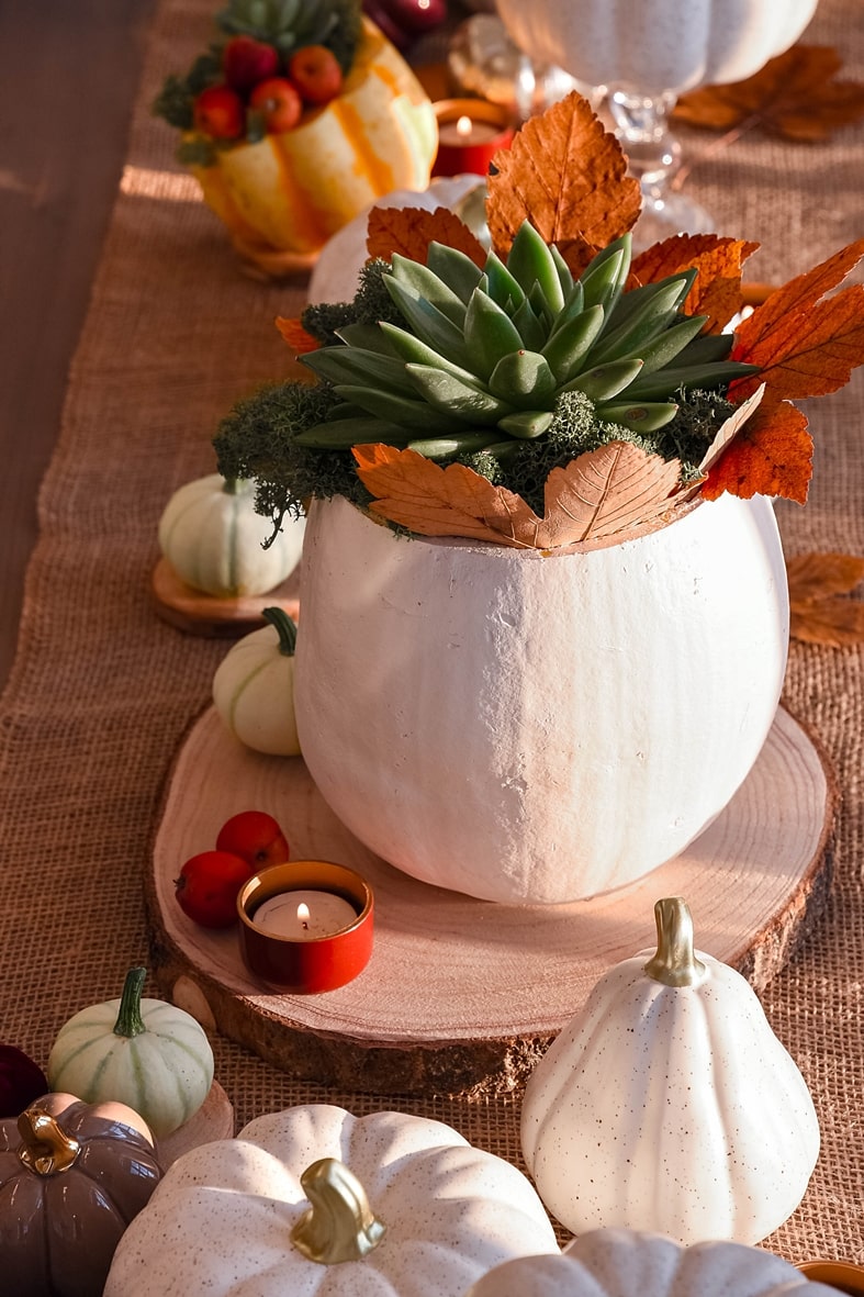 Kürbisvase aus Speisekürbis herstellen.