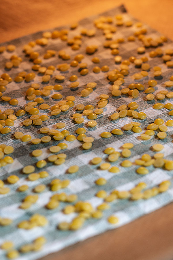 2. Schritt: das Backblech bei 85 Grad-Ober- und Unterhitze ca. 5 - 8-Minuten in Backofen geben