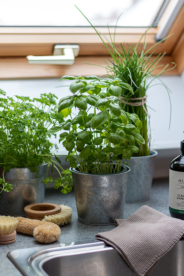 Kräuter vom Bauern um die Ecke für mehr Nachhaltigkeit in der Küche
