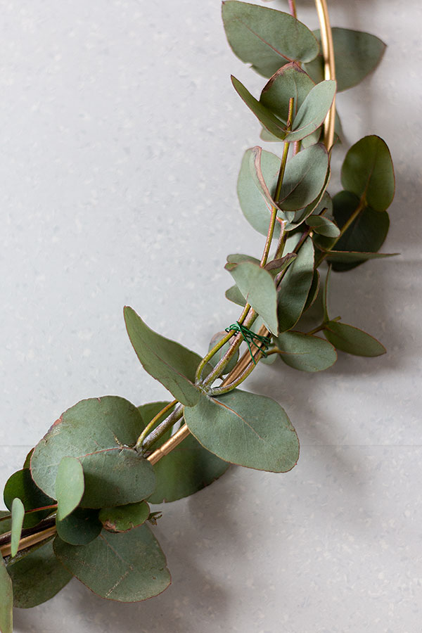 Eukalyptus mithilfe von Floristendraht im Halbkreis am Metallring befestigen