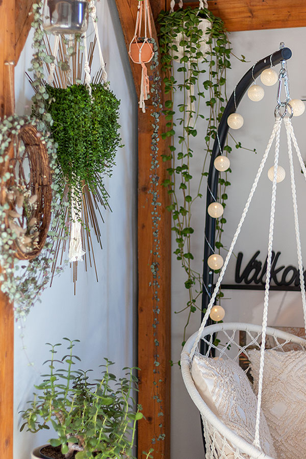 Tipps für den Urban Jungle Look mit Hängepflanzen