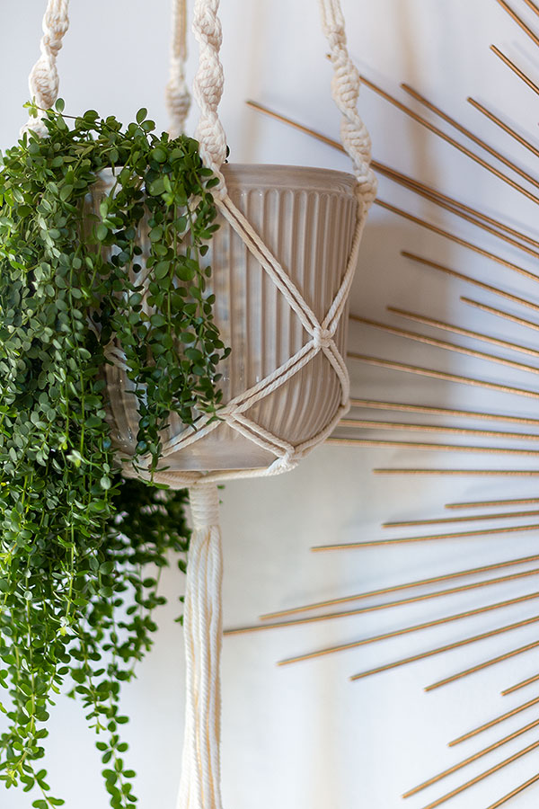 Urban Jungle Look: Hängepflanze Peperomia hoffmannii in Makramee Hängetopf